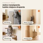 Gdzie przykleić CatMatte: kanapa, ściana, półki dla kota, framuga
